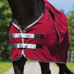 Schneiders Shop -Schneiders Shop 38878 alt a