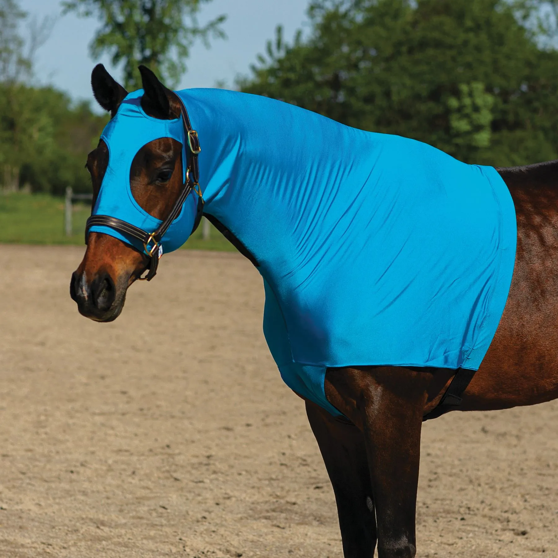 Dura-Tech® 3/4 Zip Slicker Hood – Premium Horse Sleazy Slicker for Ultimate Comfort 1 Dura-Tech® 3/4 Zip Slicker Hood – Premium Horse Sleazy Slicker for Ultimate Comfort