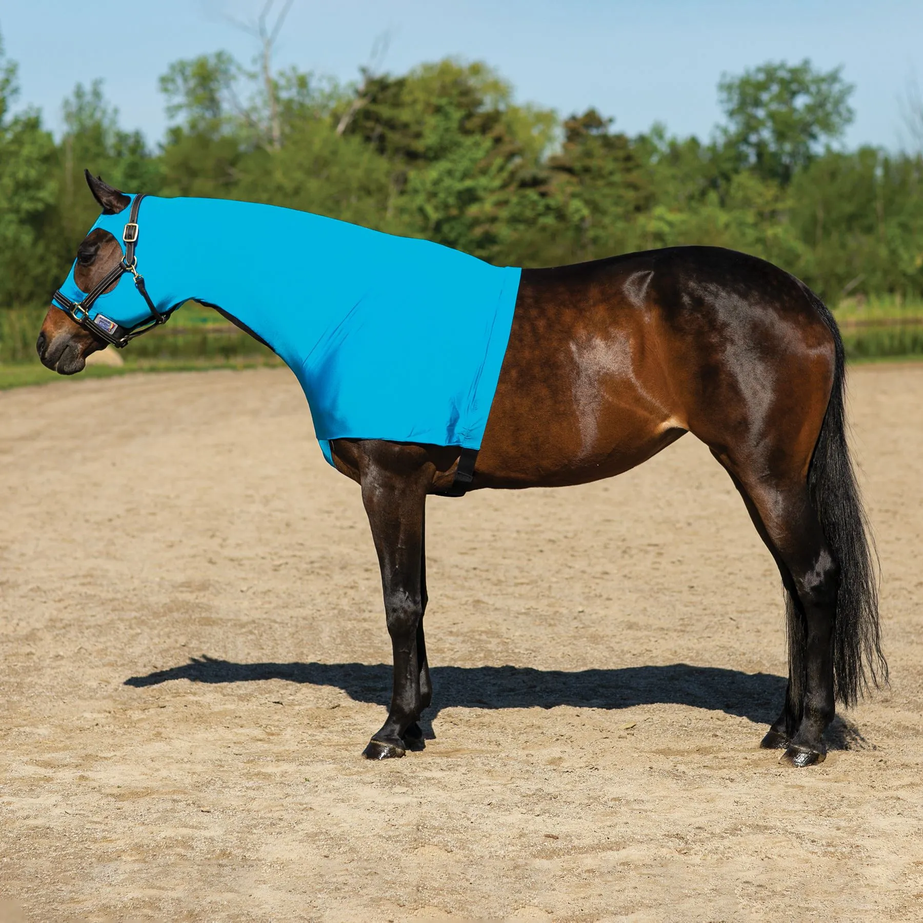Dura-Tech® 3/4 Zip Slicker Hood – Premium Horse Sleazy Slicker for Ultimate Comfort 6 Dura-Tech® 3/4 Zip Slicker Hood – Premium Horse Sleazy Slicker for Ultimate Comfort - Image 6