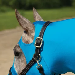 Schneiders Shop -Schneiders Shop 40227 alt a