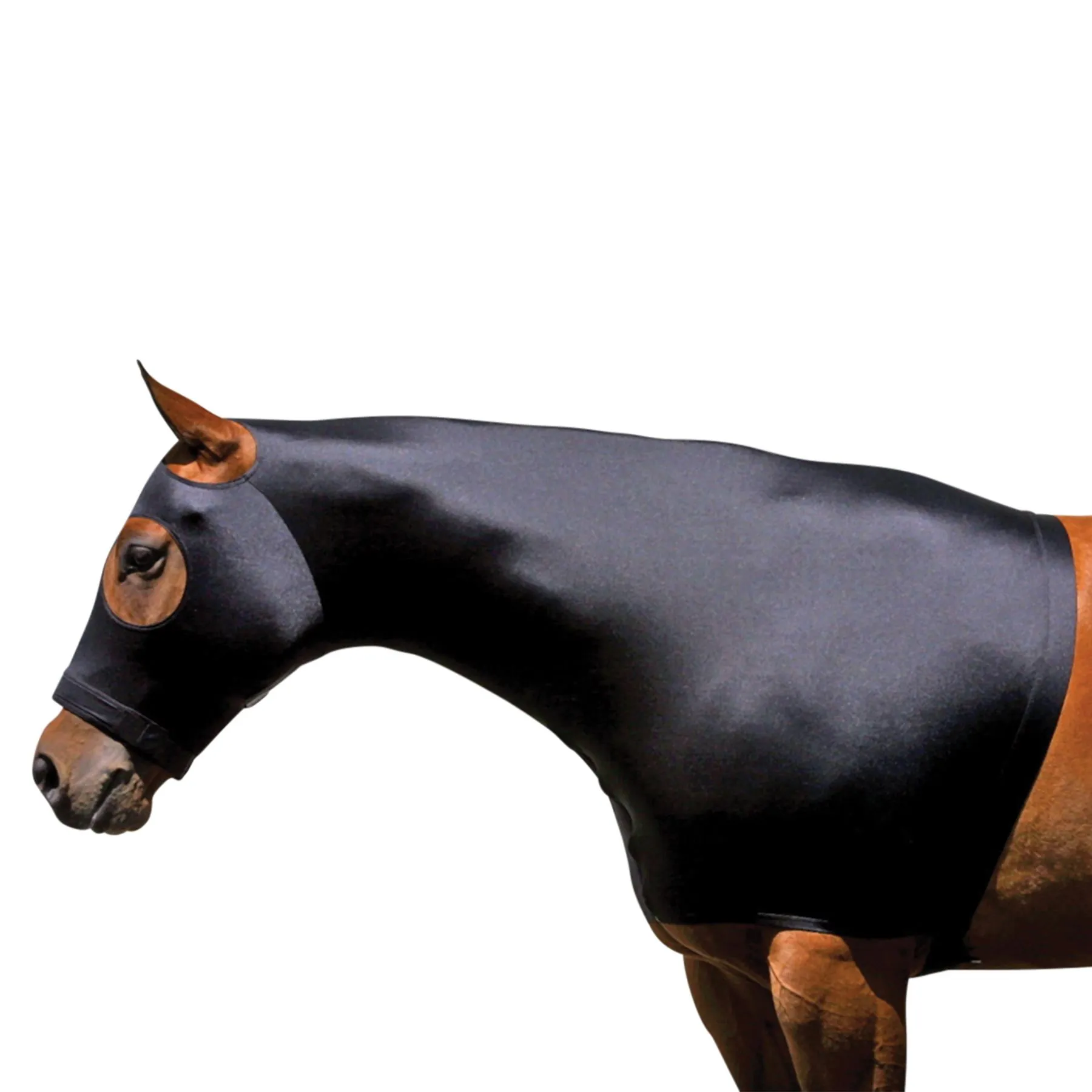 Sleazy Sleepwear™ Lycra Zipper Stretch Hood - Premium Horse Sleazy Slicker for Comfort & Style 1 Sleazy Sleepwear™ Lycra Zipper Stretch Hood - Premium Horse Sleazy Slicker for Comfort & Style