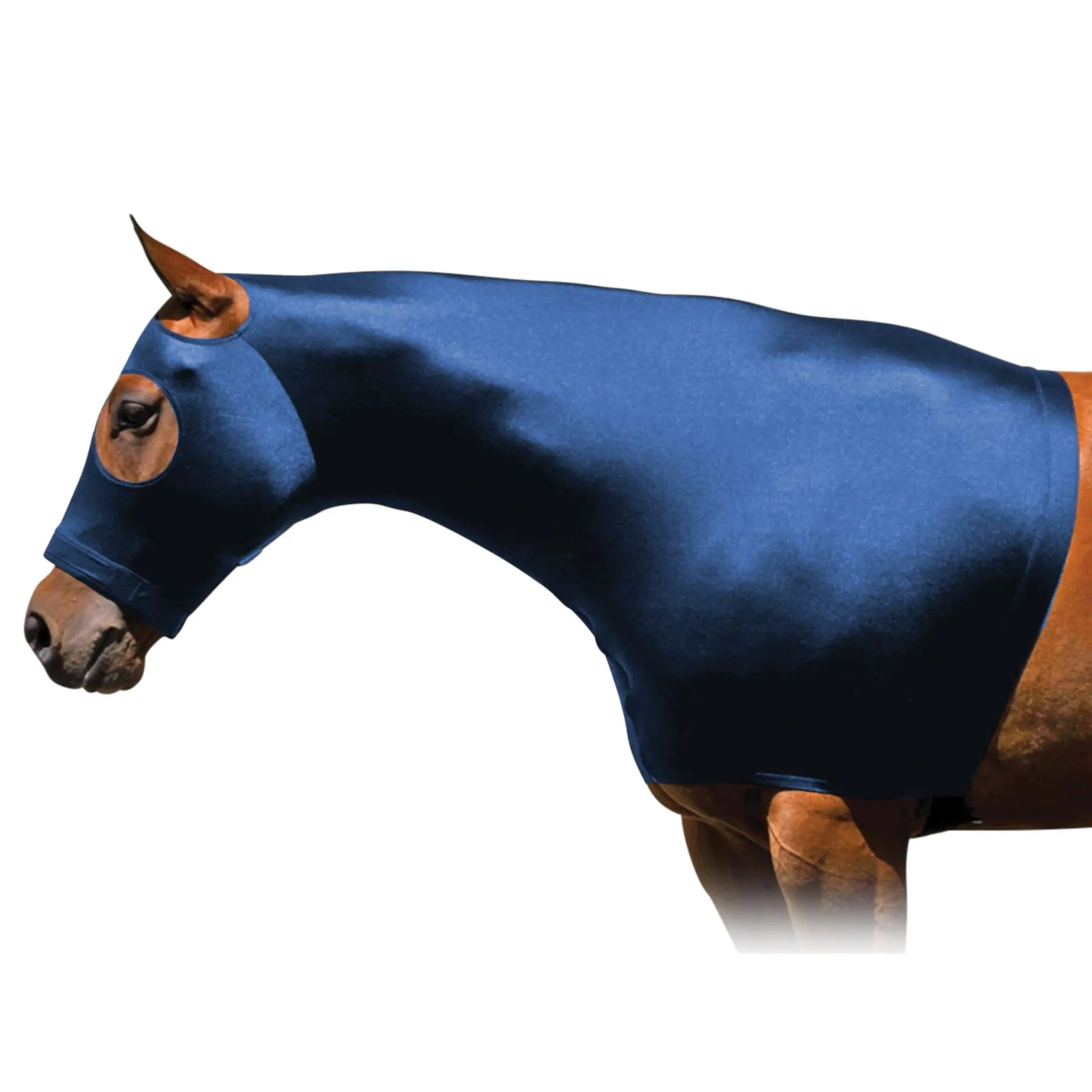 Sleazy Sleepwear™ Lycra Zipper Stretch Hood - Premium Horse Sleazy Slicker for Comfort & Style 3 Sleazy Sleepwear™ Lycra Zipper Stretch Hood - Premium Horse Sleazy Slicker for Comfort & Style - Image 3