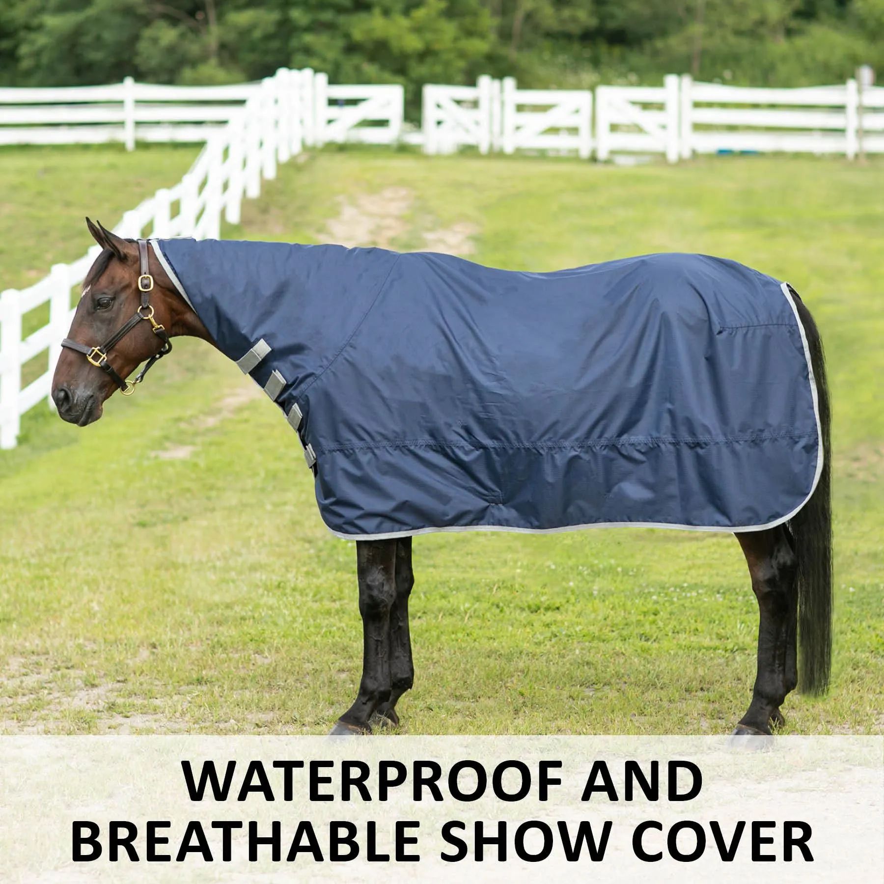 Dura-Tech® Waterproof Contour Cover Rain Sheet for Horses | Ultimate Protection & Comfort 2 Dura-Tech® Waterproof Contour Cover Rain Sheet for Horses | Ultimate Protection & Comfort - Image 2