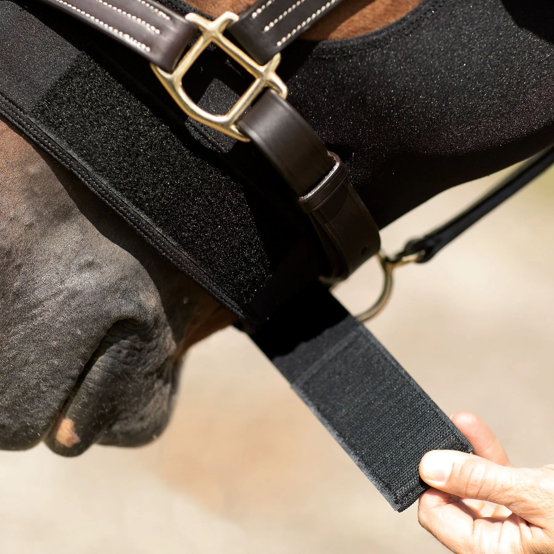 Dura-Tech® Pull-On Slicker Hood - Premium Horse Sleazy Slicker for Comfort & Protection 3 Dura-Tech® Pull-On Slicker Hood - Premium Horse Sleazy Slicker for Comfort & Protection - Image 3