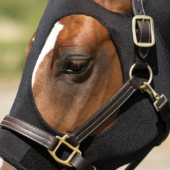 Dura-Tech® Pull-On Slicker Hood - Premium Horse Sleazy Slicker for Comfort & Protection 14 Dura-Tech® Pull-On Slicker Hood - Premium Horse Sleazy Slicker for Comfort & Protection -Schneiders Shop 41485 alt d