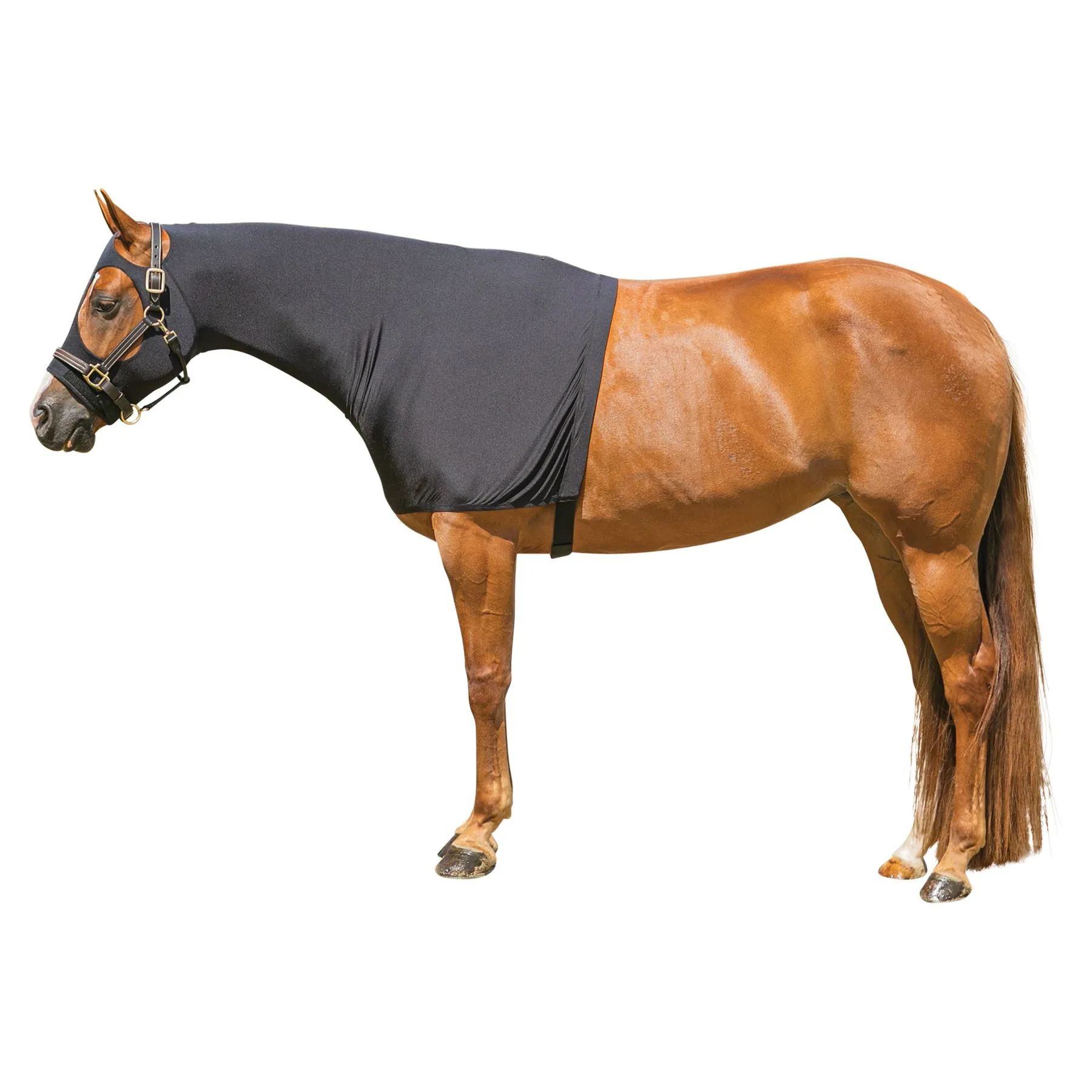 Dura-Tech® Pull-On Slicker Hood - Premium Horse Sleazy Slicker for Comfort & Protection 10 Dura-Tech® Pull-On Slicker Hood - Premium Horse Sleazy Slicker for Comfort & Protection - Image 10