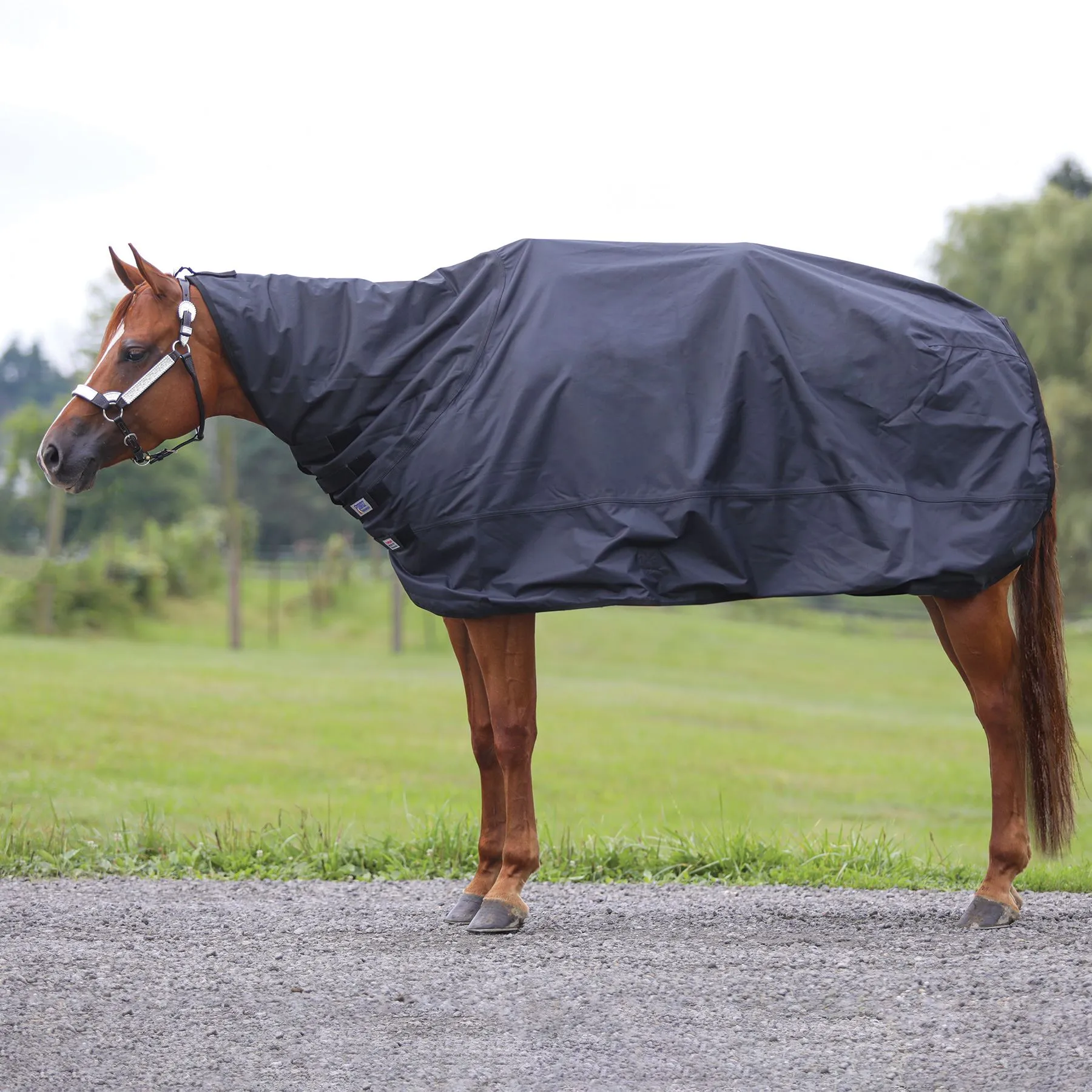 Dura-Tech® Insulated Waterproof Contour Show Cover - Premium Horse Cooler Blanket 2 Dura-Tech® Insulated Waterproof Contour Show Cover - Premium Horse Cooler Blanket - Image 2