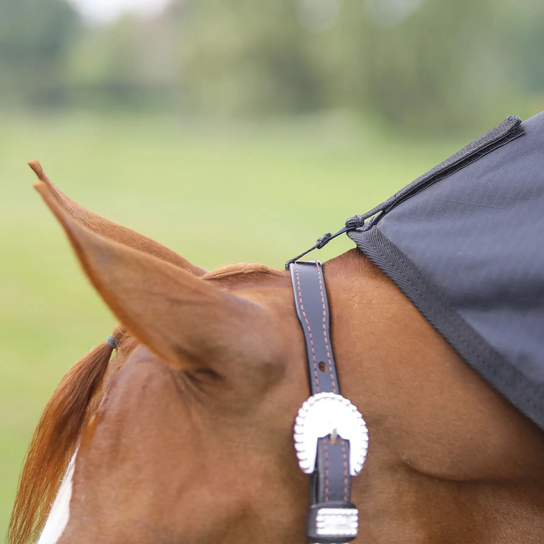 Dura-Tech® Insulated Waterproof Contour Show Cover - Premium Horse Cooler Blanket 6 Dura-Tech® Insulated Waterproof Contour Show Cover - Premium Horse Cooler Blanket - Image 6