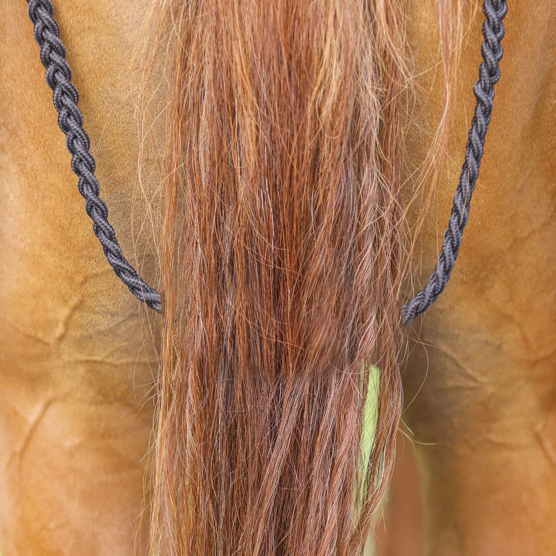 Dura-Tech® Insulated Waterproof Contour Show Cover - Premium Horse Cooler Blanket 7 Dura-Tech® Insulated Waterproof Contour Show Cover - Premium Horse Cooler Blanket - Image 7