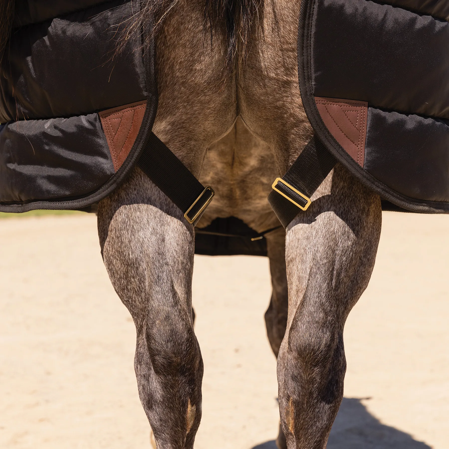 X-SPAND® Adjusta-Fit® V-Free® Stable Blanket for Horses – Premium Comfort & Durability 13 X-SPAND® Adjusta-Fit® V-Free® Stable Blanket for Horses – Premium Comfort & Durability - Image 13