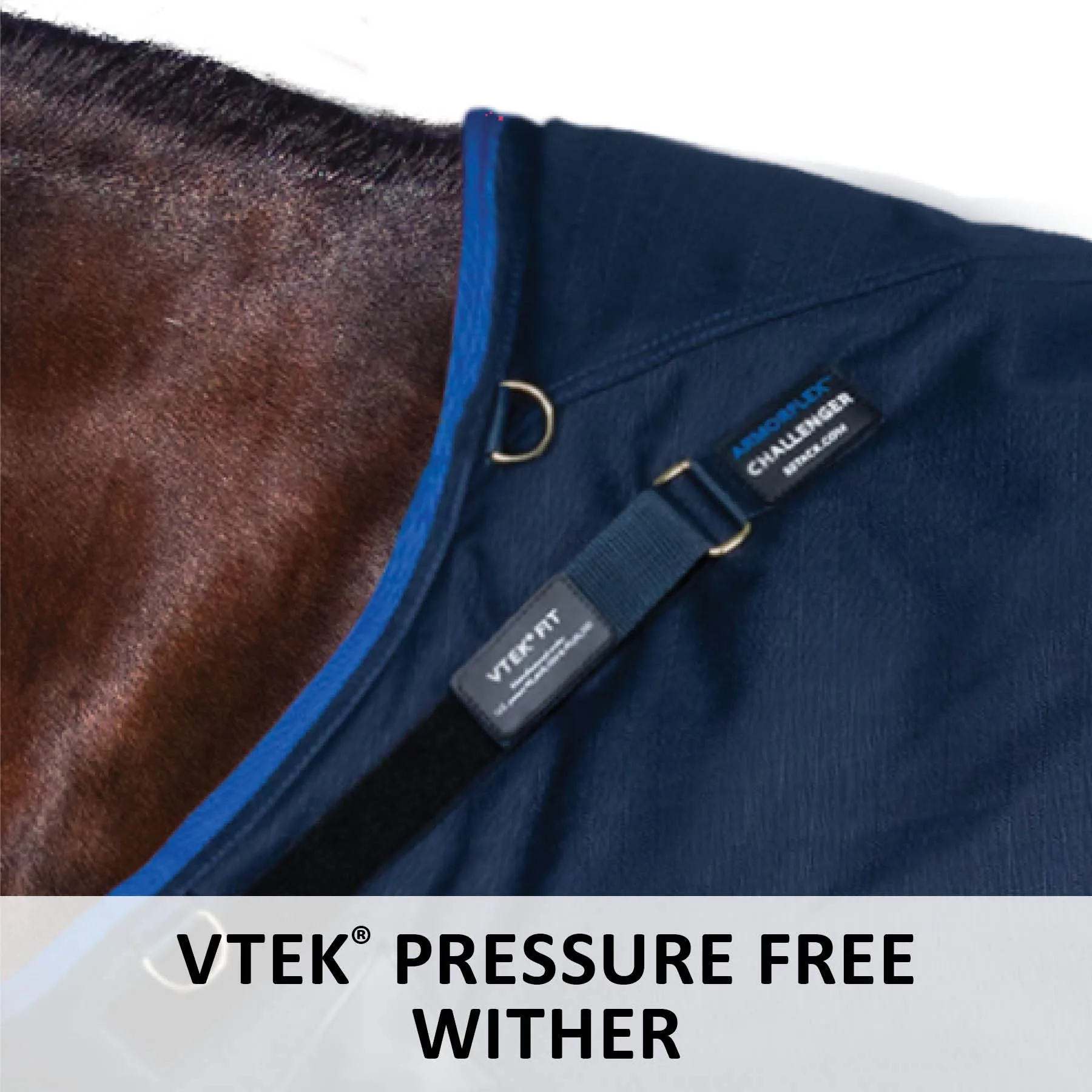 ARMORFlex® Challenger VTEK® Wither Relief Adjusta-Fit® 220g Medium Weight Youngster Turnout Blanket - Waterproof Horse Blanket for Comfort & Durability 4 ARMORFlex® Challenger VTEK® Wither Relief Adjusta-Fit® 220g Medium Weight Youngster Turnout Blanket - Waterproof Horse Blanket for Comfort & Durability - Image 4