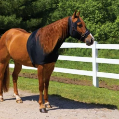 UltraFlex Forelock And Mane Saver Full Zipper Horse Slicker Hood - Premium Horse Sleazy Slicker -Schneiders Shop 42963 alt a