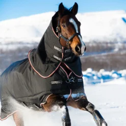 Horseware® Rambo® Supreme Heavyweight Turnout Blanket - Waterproof & Durable Horse Blanket -Schneiders Shop 43036 alt b