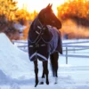 Horseware® Rambo® Duo Turnout Blanket | Waterproof Horse Blanket for All Seasons