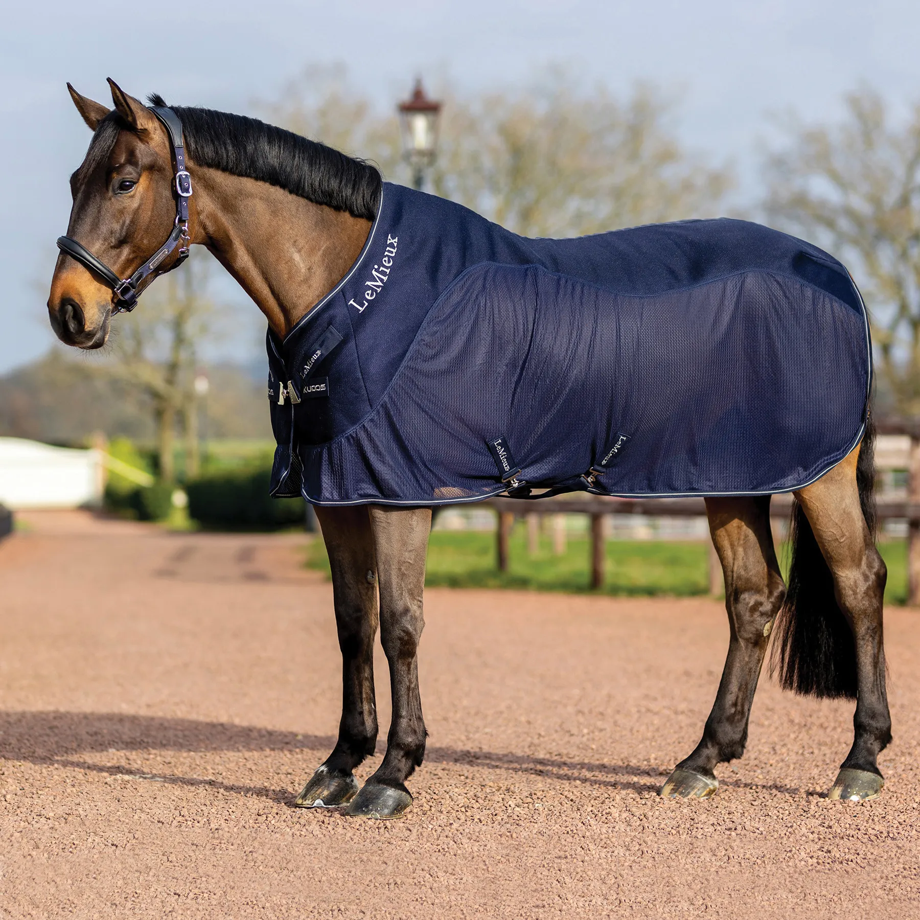 LeMieux® Mesh Sports Cooler: Lightweight Horse Cooler Blanket for Optimal Temperature Control 2 LeMieux® Mesh Sports Cooler: Lightweight Horse Cooler Blanket for Optimal Temperature Control - Image 2