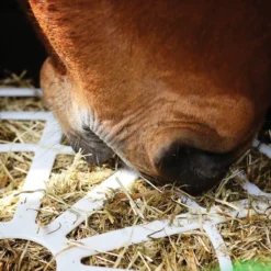 Haygain® Forager - Slow Feed Hay Feeder for Horses | Durable & Mess-Free Feeding Solution -Schneiders Shop 44596 alt d