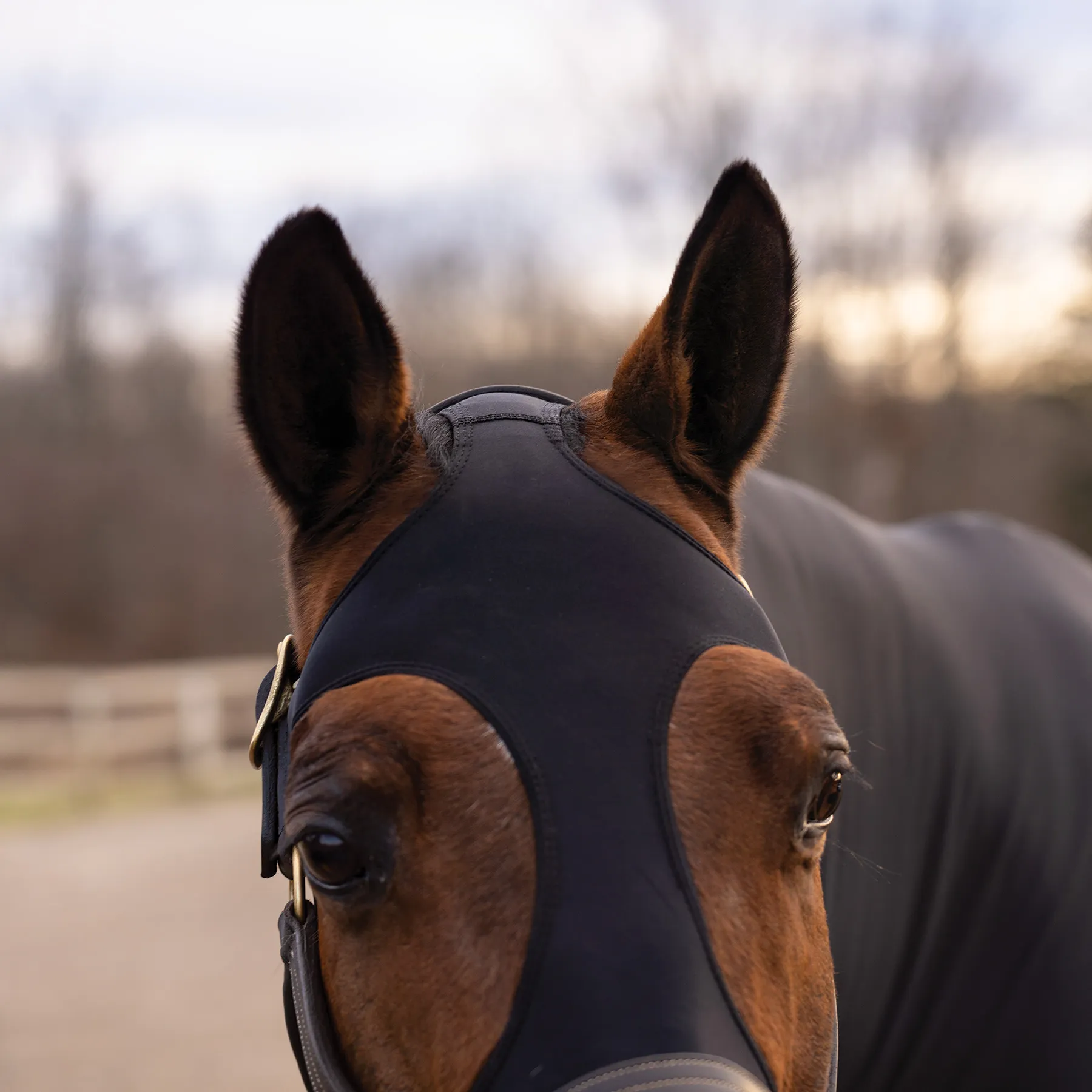 UltraFlex® Shoulder Ease Lycra Horse Slicker Hood - Premium Fit & Comfort for Your Horse 7 UltraFlex® Shoulder Ease Lycra Horse Slicker Hood - Premium Fit & Comfort for Your Horse - Image 7