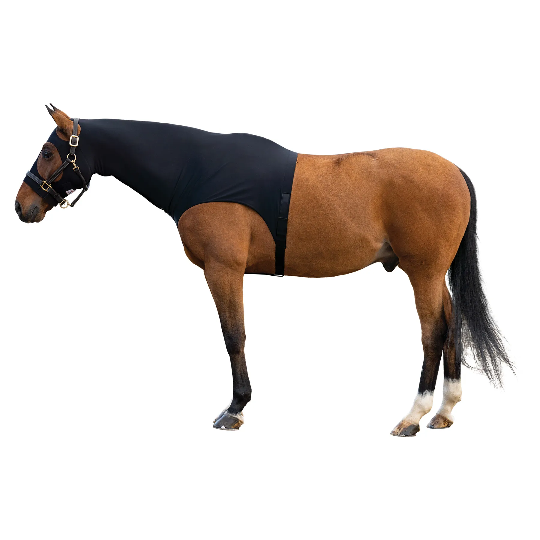 UltraFlex® Shoulder Ease Lycra Horse Slicker Hood - Premium Fit & Comfort for Your Horse 9 UltraFlex® Shoulder Ease Lycra Horse Slicker Hood - Premium Fit & Comfort for Your Horse - Image 9