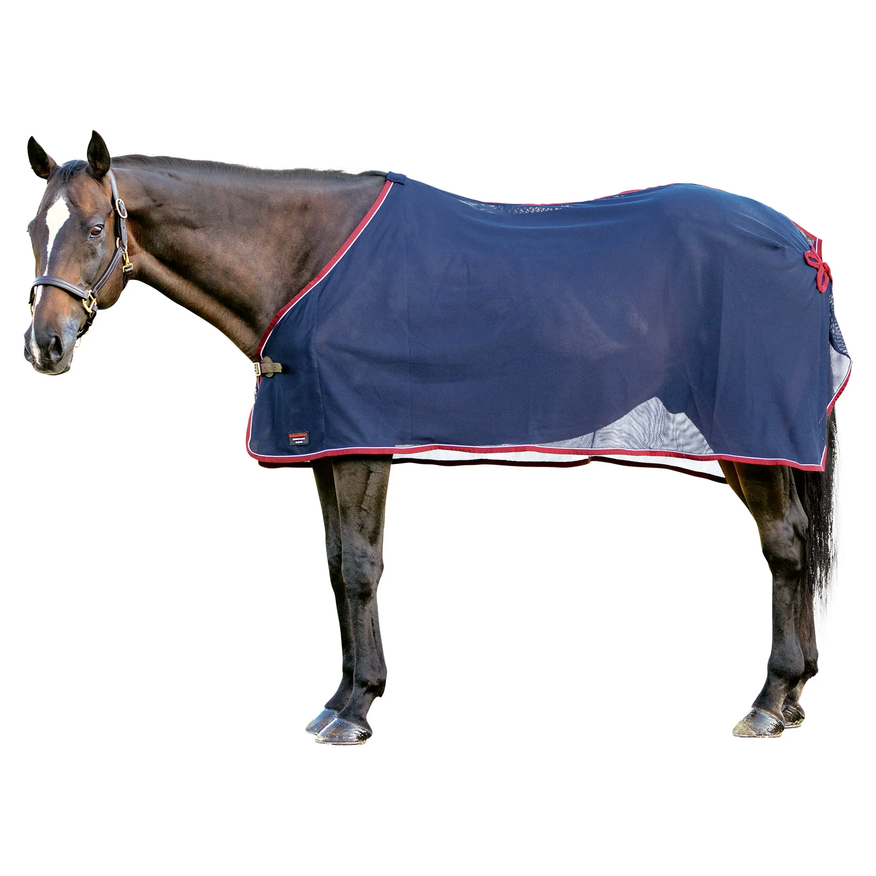 Schneiders® Award Horse Scrim Sheet | Premium Horse Cooler Blanket for Show & Training 1 Schneiders® Award Horse Scrim Sheet | Premium Horse Cooler Blanket for Show & Training