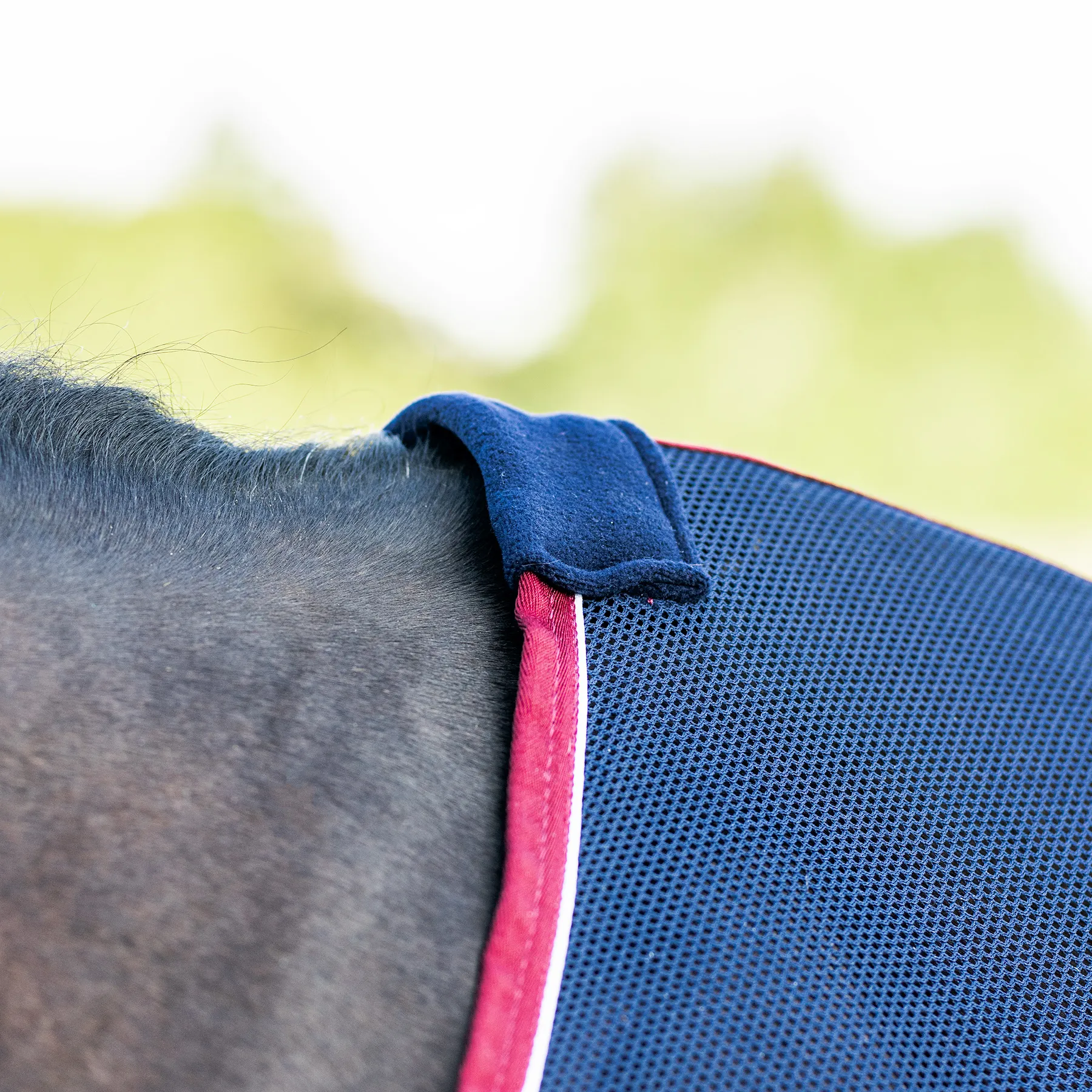 Schneiders® Award Horse Scrim Sheet | Premium Horse Cooler Blanket for Show & Training 4 Schneiders® Award Horse Scrim Sheet | Premium Horse Cooler Blanket for Show & Training - Image 4