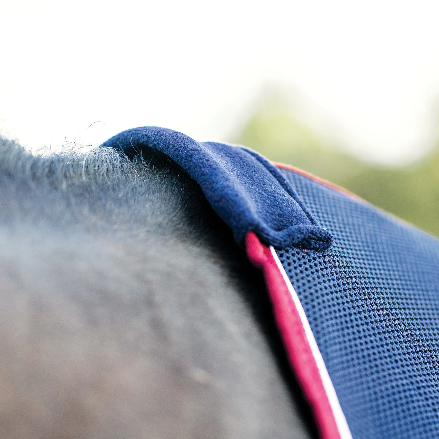 Schneiders® Award Horse Scrim Sheet | Premium Horse Cooler Blanket for Show & Training 5 Schneiders® Award Horse Scrim Sheet | Premium Horse Cooler Blanket for Show & Training - Image 5