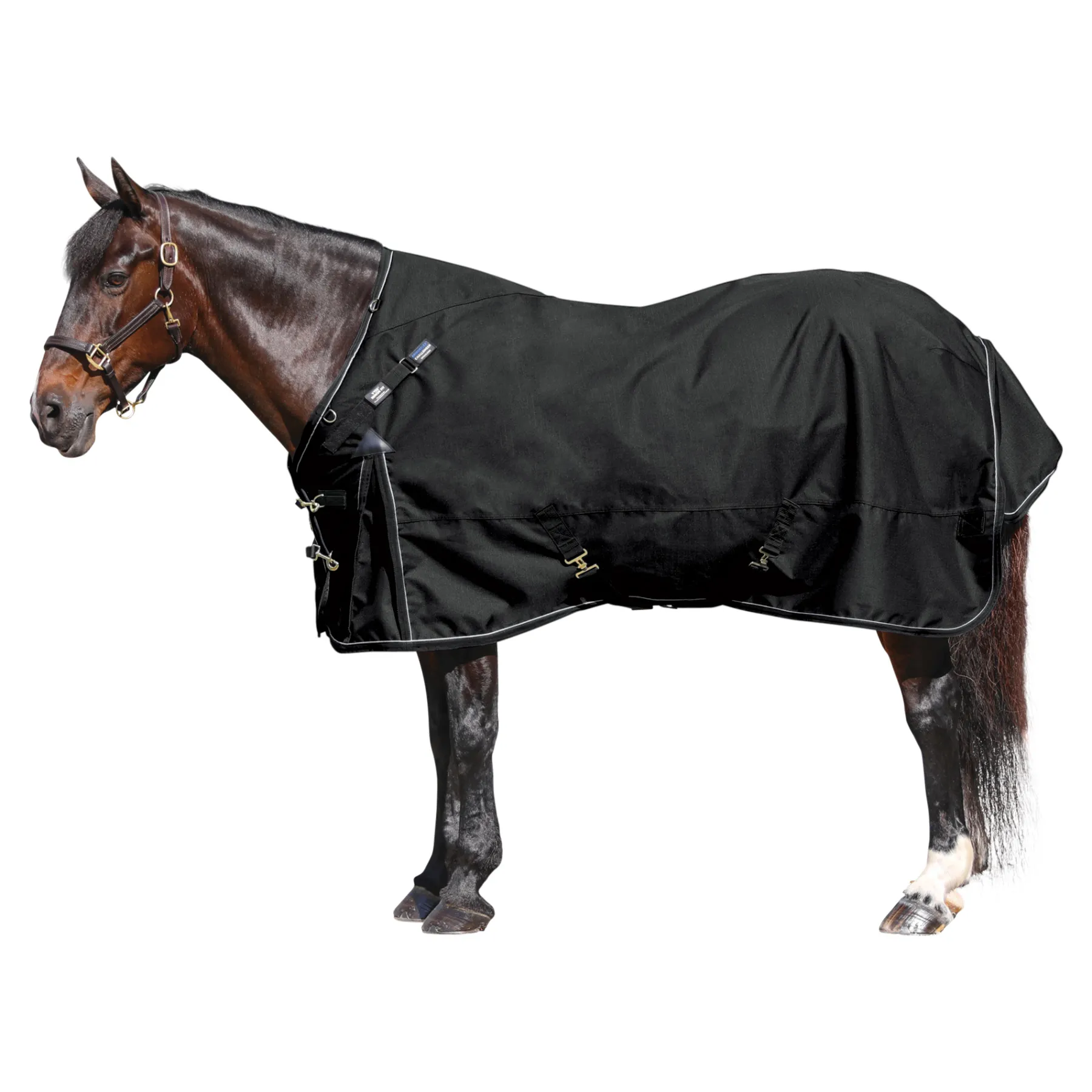 ARMORFlex® Challenger Senior VTEK® Wither Relief Adjusta-Fit® Waterproof Horse Turnout Blanket 16 ARMORFlex® Challenger Senior VTEK® Wither Relief Adjusta-Fit® Waterproof Horse Turnout Blanket - Image 16