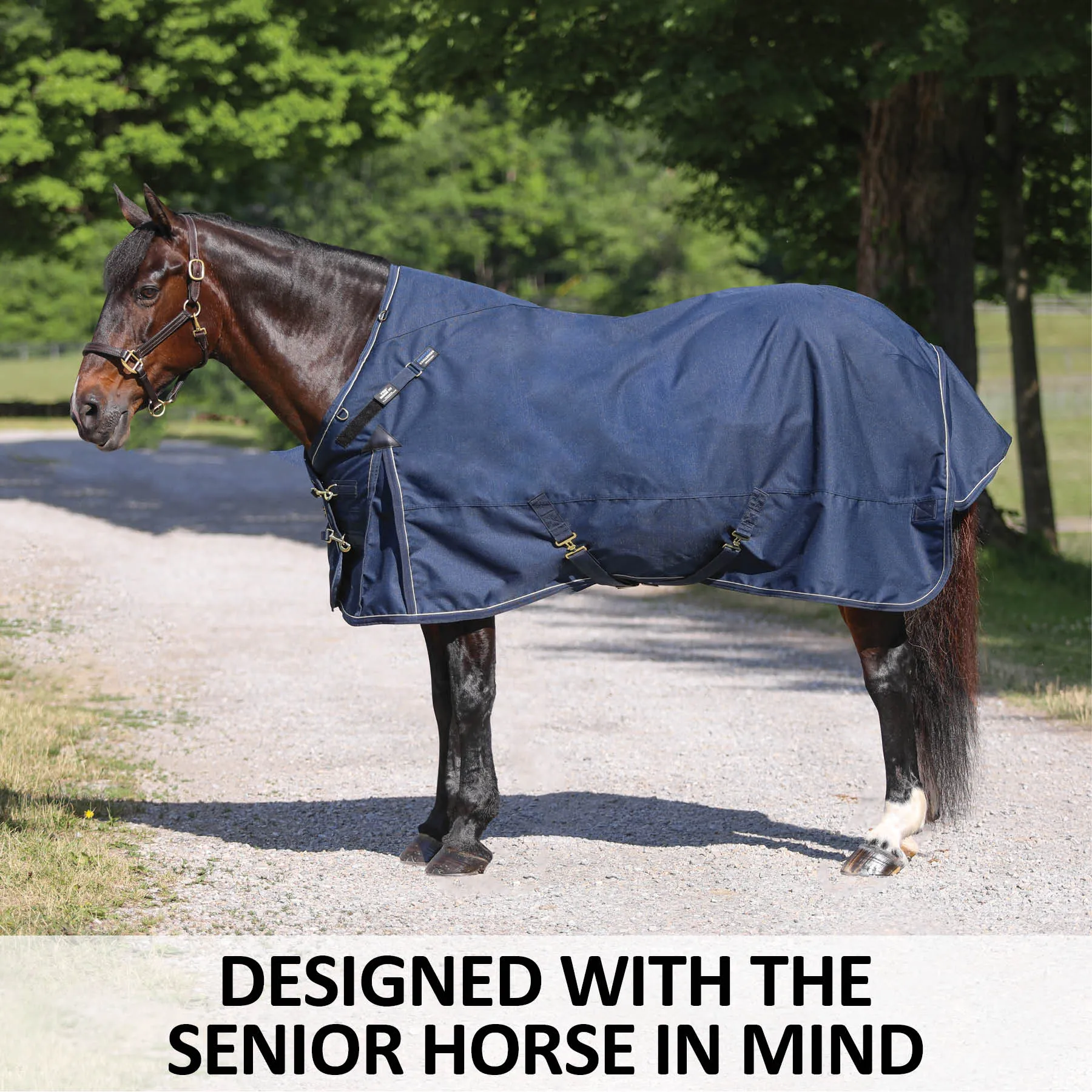 ARMORFlex® Challenger Senior VTEK® Wither Relief Adjusta-Fit® Waterproof Horse Turnout Blanket 2 ARMORFlex® Challenger Senior VTEK® Wither Relief Adjusta-Fit® Waterproof Horse Turnout Blanket - Image 2